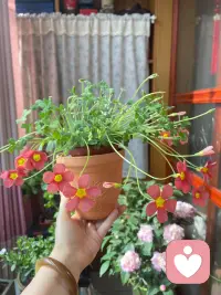 你不需要太合群，不合群的人大多聪明且悟性高。那些无效又乏味的社交不参与也罢。配图