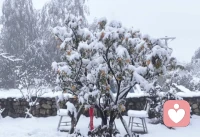 把时间留给需要和信任的人，筛选本身就是一场双向奔赴，感恩。❤️据说又要下雪啦❤️配图