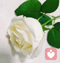 ❤️《人世间》里有这样一段台词：
“走得越远，见识越多，认识的人越多，你就越能体会到，人这一辈子，你真的在意的，同时又在意你的人，就那么几个。这几个人，就是你全部的世界。”再大的社交圈往往也只是空洞无物的，能够有那么两三个真正在意彼此的朋友就足够了，要把时间花费在真诚且双向的人身上。配图