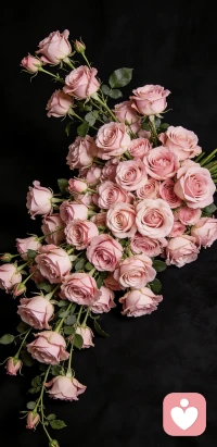 不是所有坚持都能当天兑现，
有些答案要走完四季才肯盖章：
🌱种子埋在雪里
💐春天才给回信
🌞汗水滴在深夜
📬黎明才给邮差
 
但“不放弃”三个字本身
就是一颗缓释胶囊——
它先安抚你的焦躁
再悄悄把光亮、能力、好运
一颗一颗塞进你的未来里❤️配图