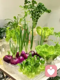 感谢那个勇敢自己，那些黑暗的日子自己也扛过来了。❤️