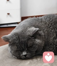 你热一分我进一分，
你冷一分我退一分，
不强求任何一段不咸不淡的关系，
即使我很在意。 ​​​晚安❤️配图