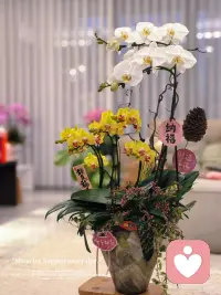 不要太在意别人说的话，他们有嘴，但是不一定有脑子，有脑子，不一定有情商和人品。

—— 默离配图