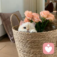 放松点，不用和每个人都要好，也不必被每个人都喜欢。❤️配图