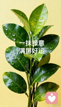 ❤️永远不要自惭形秽，你过好自己的生活，让自己快乐，让自己安心，你就是世界上最了不起的人。❤️ ​​​配图