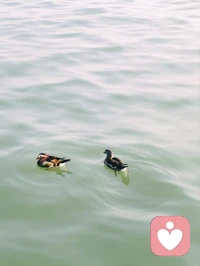 明天就是除夕了哦，晚上好。❤️配图