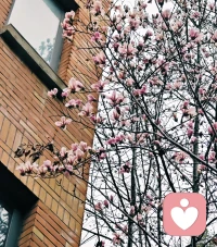 希望新的一年大家少焦虑，放自己一马❤️配图
