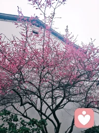 ❤️总有一天你会明白，自己爱自己，强过很多人爱你，不要从别人身上找安全感，能给你安全感的，只有自己。晚上好。❤️配图