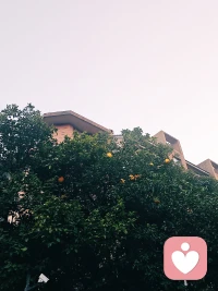 ❤️倾听是心灵的触碰，是给予对方存在的空间，而不是一味用顺从对方观点的方式让来访者迷失。
❤️倾听是说“我在这里陪你”， 倾听或许没有立刻解决问题的方法，但它提供了最稀缺的理解。而不是用哄骗、一味顺从的的方法包装着甜蜜的诺言，而内核却是冰冷的利用。配图