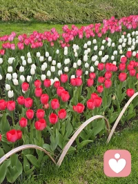 从下周一开始，又要调整时间啦！每周一到周四晚上八点到十点半不在线哦，其他时间都ok。配图