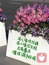 烟火人间，各有遗憾。今天比昨天好，这就是希望。 晚上好。❤️配图