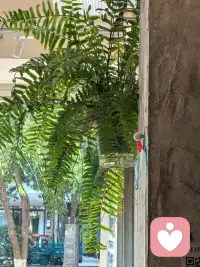 无论多忙，每天都要留一点时间给自己，放空，发呆，做自己喜欢的事。❤️配图