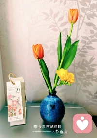 ❤️花会盛开在春日，你也是。没扔掉的酒瓶，插几支花，随手就可以拥有一个春天，早上好。❤️配图