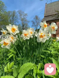 人要有不较劲的智慧。第一，不和自己较劲，对自己要随性；第二，不和他人较劲，对他人要随缘；第三，不和老天较劲，对老天要随命。——周国平配图