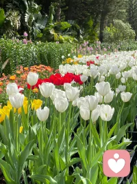 ❤️保护自己最好的方式，是不执着伴侣永远爱你，不强求父母完全理解你，不奢望子女必定回报你。所有舒服长久的关系本质都源于降低期待，互不纠缠。早安，周末愉快呀。❤️配图