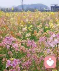 我们与金钱的关系，本质上是与自我、与安全感、与情绪的关系。
你如何对待钱，就是如何对待自己。配图