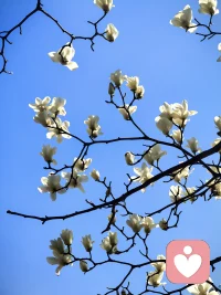 人类不能没有公园，周末愉快哦。❤️配图