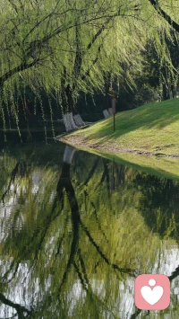 人类不能没有公园，周末愉快哦。❤️配图