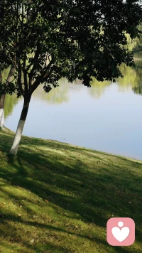 人类不能没有公园，周末愉快哦。❤️配图