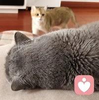 ❤️泥沙俱下，守住初心，静坐常常自省。加油。❤️配图