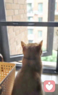 长大就是一个人面对这个世界的兵荒马乱。❤️配图