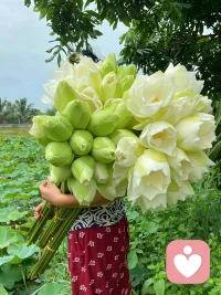 ❤️你不必是一朵花
不用开给谁看啊
风会吹 雨会下
你只管自在发芽
❤️你不必是一朵花
不用讨谁的喜欢啊
根扎深 叶舒展
你就是自己的晴天
❤️你不必是一朵花
是种子 是风 是盛夏
是不被定义的
任何模样啊配图