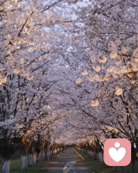 ❤️信息大爆炸的时代。拥有独立思考的能力特重要。
❤️当然，独立思考不是为了让你变得固执己见、油盐不进。恰恰相反，它是一个让我们更开放、更包容、更能接近真相的工具。一个真正的独立思考者，既有能力坚定地捍卫自己的观点，也有勇气在看到了更好的理由后，坦然地修正自己的观点。
❤️这个过程可能会有点累，因为它需要我们走出思维的舒适区。但它能带给你一种深刻的自由——一种不轻易被外界裹挟、真正为自己人生负责的自由。配图