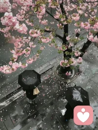 所以，是那些创伤让我变得更强大了吗?
“才不是，那些创伤使你变得脆弱而敏感，是你自己选择了原谅、强大和善良...配图