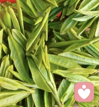 今年气候适宜，龙井茶产量和质量都很喜人。明前茶（清明节之前）最佳赏味期要到了，看一眼，都觉得心情好，采茶的过程更解压。❤️配图