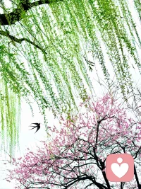 ❤️有些话很难听，只有真正想帮你的人才会说。
❤️有些路不好走，只有真正想陪你的人才会跟你同行。❤️有些事不好做，只有真正懂你的人才知道你该如何开始。
❤️又是一年桃红柳绿，生发季，希望季。加油❤️配图