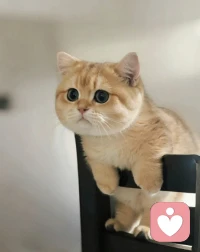 ❤️很多事，想要开始并坚持下来，特别难，需要很强的意志力。但要想戛然而止特别简单，有天明明都准备开始了，但可能会因为一件很小的事，就会让你想着干脆改天再开始吧，这一停，就彻底停下了。所以你离成功其实就差一个开始。新的一周开始了，加油。❤️配图