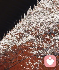 ❤️钱王放弃了一个王朝，却换来了整个杭州的春天❤️❤️身处吴越之地，怎么能不看这部呢。确实前几集对普通观众并不友好。五代十国——这段在教科书上被压缩成不到两百字的混乱时期，政权更迭之频繁、人物关系之庞杂，足以让任何编剧头疼。《太平年》的开篇像是把观众直接扔进了人物连连看的考场，各方势力走马灯似的登场，半文白对白更是把观剧门槛直接拉满。有观众调侃“没文化真的有点看不懂”。
❤️所谓的太平盛世，不是什么高深的政治理想，而是“想饮太平年间一碗热酒”的人间烟火。
❤️陌上花开，可缓缓归矣。千年前，钱弘俶以王权换太平；千年后，我们常饮太平年间这碗酒，更当思其来之不易。配图