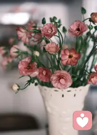 ❤️真正让你成长的，
不是顺风顺水的日子，
而是那些一个人扛过的黑夜，
和无数次想放弃
却咬牙坚持下来的瞬间。
愿你苦尽甘来，终见晴天。