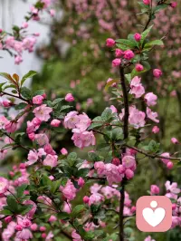 ❤️这个世界对我们来说最重要的就是两件事：1.身体好，2.心情好。
❤️对待生命唯一的正确姿势就是活在当下，全然地信任、全然地臣服，让身体感受当下的每一个细节，让自己成为当下的一部分。
❤️早安