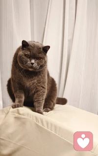 直面问题永远是解决问题的第一途径，晚上好。❤️