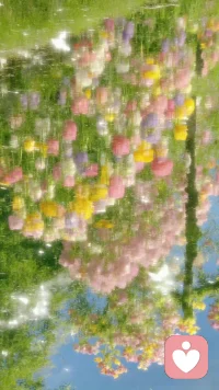 在大的利益面前不要相信任何人。你要牢牢把主动权掌握在自己手里。❤️