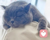 人生怎么选都会有遗憾 往前走就是了