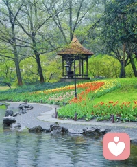 别让过去的雨，淋湿今天的你。早安。❤️配图