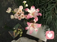 ❤️买菜也买花。
❤️买菜是安顿生活，买花是抚慰心灵。
早安，你好四月。配图