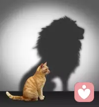 ❤️人过的很好的时候
  就会原谅很多事情
  自己内心有了力量
  就懒得跟外界较劲
❤️所以请你务必千万次救自己于水火之中 一定要好起来。配图