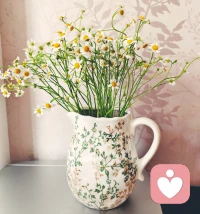 不必强求快乐，而是学会能平静的和自己的情绪共处 ​​。早安呐❤️配图