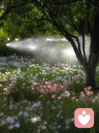 ❤️边界感不只是“不打扰”，它更像一段关系里的“说明书”。
❤️它不是不关心，而是“尊重对方的自主性”
 ❤️它不是拒绝亲密，而是“允许自己说‘不’”，坦诚表达真实内心想法反而会让关系更长久。
 ❤️它不是读心术，而是“清晰的表达”
  很多人误以为“有边界感的人应该自动知道我的底线”。实际上，健康的边界恰恰是主动表达：“你刚才那句话让我有点难过”或“我们聊这个话题我需要一点时间准备”。把模糊的猜测变成清晰的规则，双方都更有安全感。
❤️边界感的本质，是在“我”和“我们”之间找到一个舒适的平衡点。配图