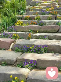 在哪里跌倒 就在哪里躺一会儿 没关系的配图