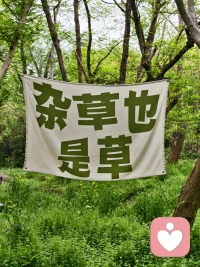 杂草也是草，人就该多呆在没有天花板的地方。❤️配图