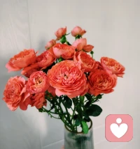 ❤️当所有的悲伤大于快乐时，任何关系都要停止。
❤️你不必做别人认可的人，不用迎合任何人的标准，你只需要仰起头抬起胸，你就是自己最大的靠山，成年人最好的自律就是及时止损。
❤️人有执念，但是不能执迷不悟，把有限的剧本时间浪费在无限美好的事物上才值得。配图