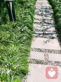 站在樱花树下，淋一场樱花雨，看着花瓣一点点落下，好幸福。❤️配图