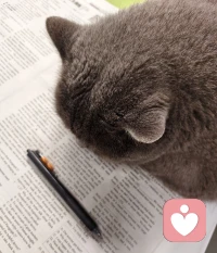 看来读书这个事儿，谁遇上都犯困，小猫咪也不例外。😂配图