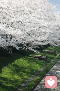 其实很多人根本接不住真诚，你一旦对他真诚，他反而会变得贪心又傲慢。心理学上说，人根本给不出自己没有的东西。人品好的人，你对他五分真诚，他恨不得拿出十分真心来回报你，而人品差的人，你对他越真诚，他反而会得寸进尺，然后把你当成软弱的人，可以拿捏的人。所以真心要留给值得的人，温柔要带点锋芒，别把真诚错付，更别让善良显得廉价。早安❤️配图