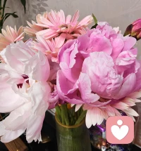 春天会来，花会开，你也会越来越好的，加油。♥️