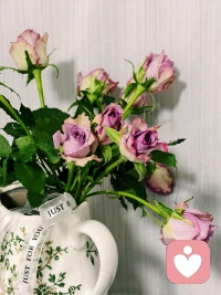 ♥️责任心过剩，是一种非常非常消耗生命力的行为。当你把整个世界都扛在肩上，最先垮掉的往往是自己。
♥️请收起你过剩的责任心。不要把自己的责任推卸给别人，也不要平白无故地为别人承担责任。好好爱自己，守护好自己的生命力。